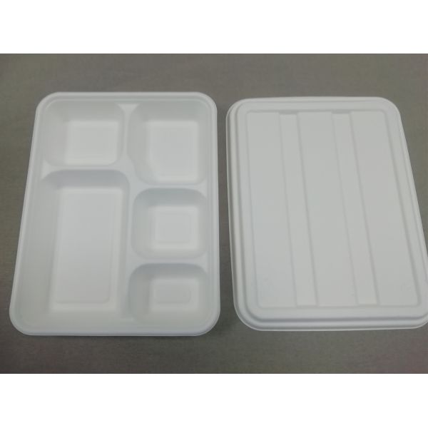 5-Coms Sugarcane Pulp Plate With Lid Natural-Pulp Biodegradable Products Microwavable And Safe For Hot And Cold Foods