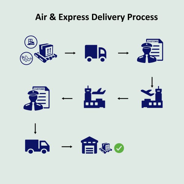 FMC Licensed Freight Forwarder with Global Network Offering Door to Door Logistics Service