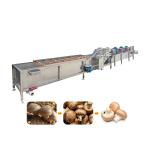 vegetable washing and drying machine