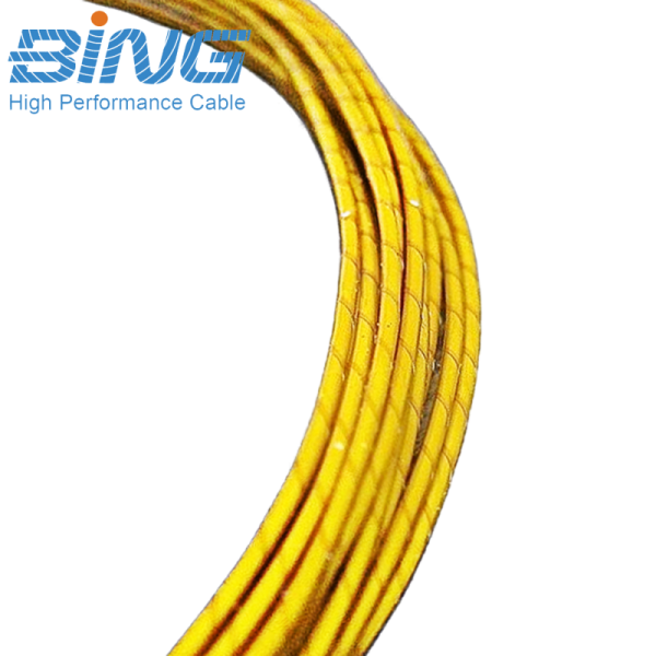 HE-SPC Polyimide Taped Wire 600V for High Temp Motor Coil Winding