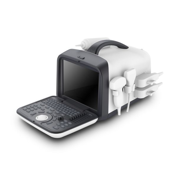 2021 Top Selling Medical Ultrasound Instruments, Portable B&w Ultrasound Scan Machine for Hospital