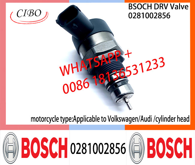 BOSCH DRV Valve 0281002856 Control Valve 0281002856 for Applicable to Volkswagen/Audi /cylinder head