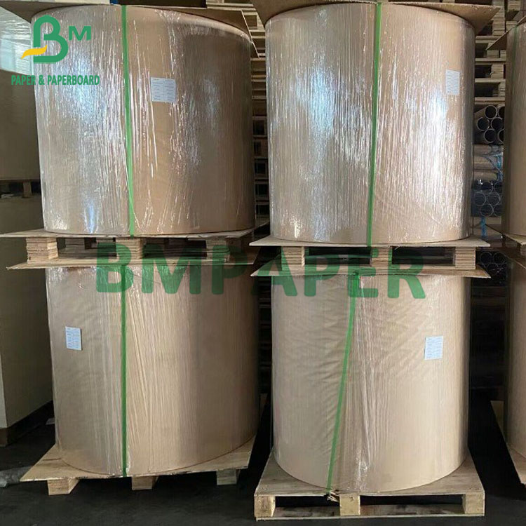 Biodegradable Food-Grade Sugarcane Paper For Disposable Plates 70gsm To 400gsm