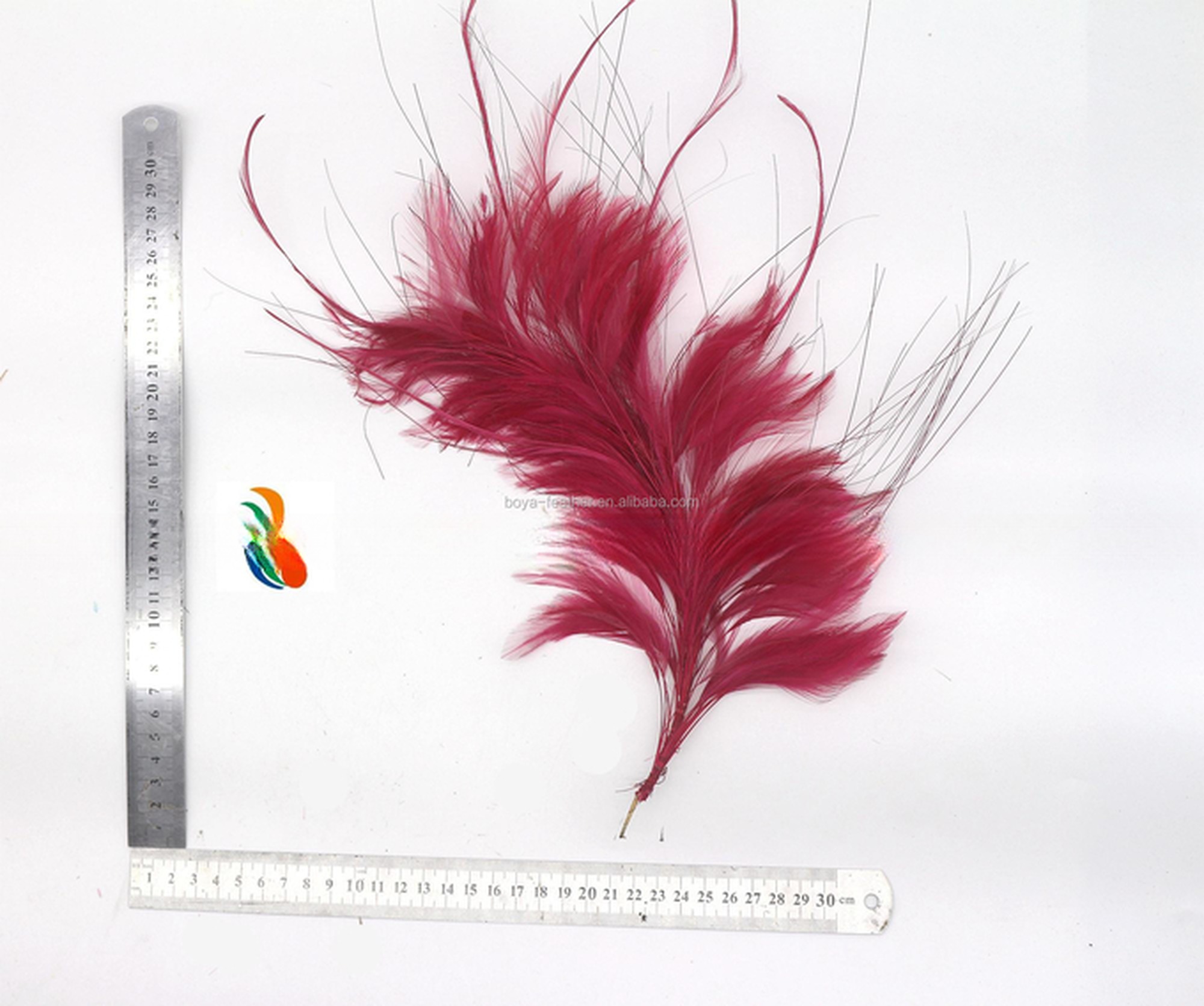 15x30CM Burnt Coque And Hackle Feather Mounts Flower Feather Headwear