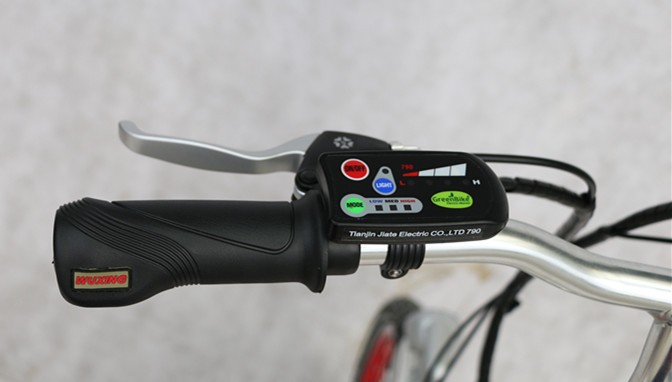 Competitive Israel Electric Bike with Down Tube Battery Position and Charging Time 3 Hours