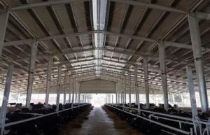 Quality Architecture Standard Prefabricated Steel Structure Frame Workshop for sale