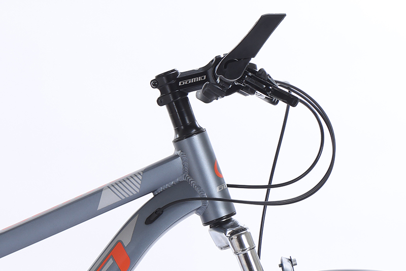 Customized Bisiklet Aluminium Alloy Mountain Bike with Shift/Brake Lever 3*7 Speed and KENDA K1177 Wide 1.95" Tire