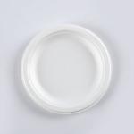 Wholesale disposable 6 inch plate green bagasse pulp food plates