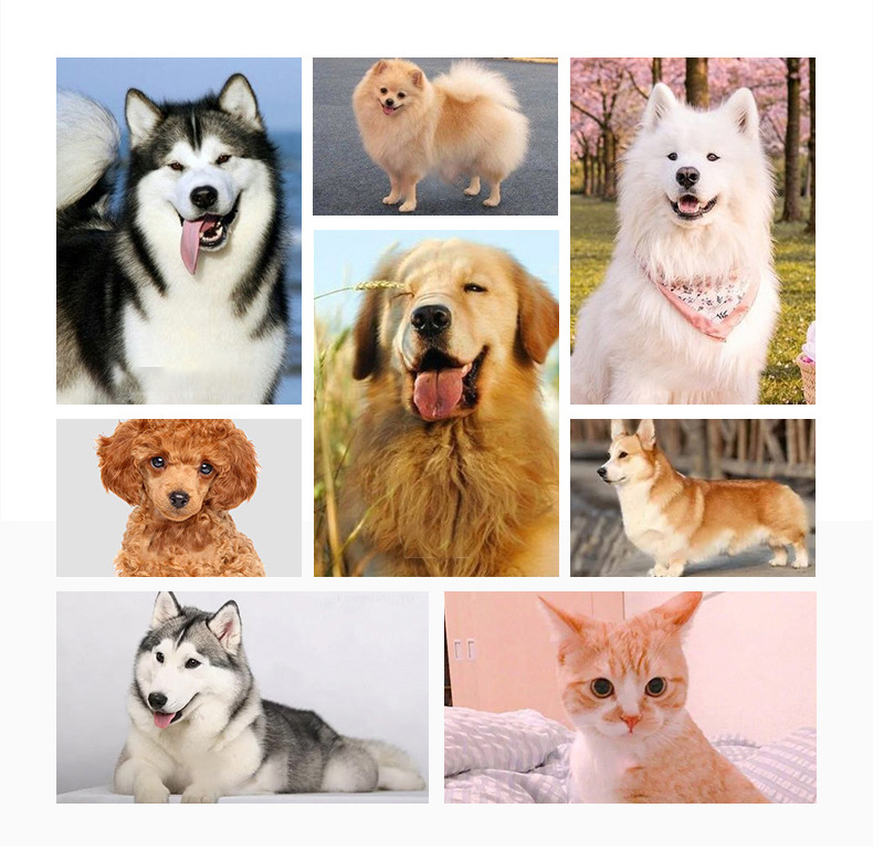 Pet Grooming Tool Cleaning Reusable Shedding Soft Slicker Dog Cat Hair Brush Suitable
