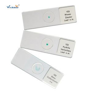 Professional Reliable Prepared Microscope Slides Botany Slides 30pcs