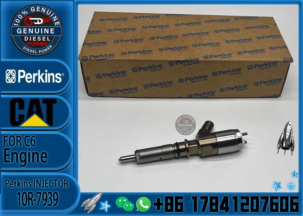 New Fuel Injector 10R-7669 10R-7667 321-1080 10R-7939 2645A742 2645A753 2645A747 292-3780 for Perkins CAT C6.6 C6.4