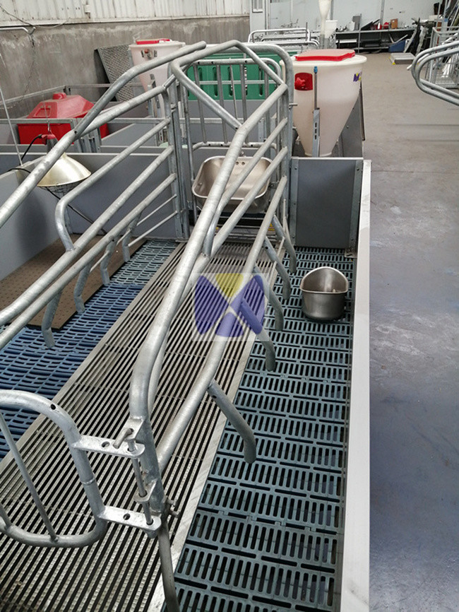 Sow Farrowing Crate