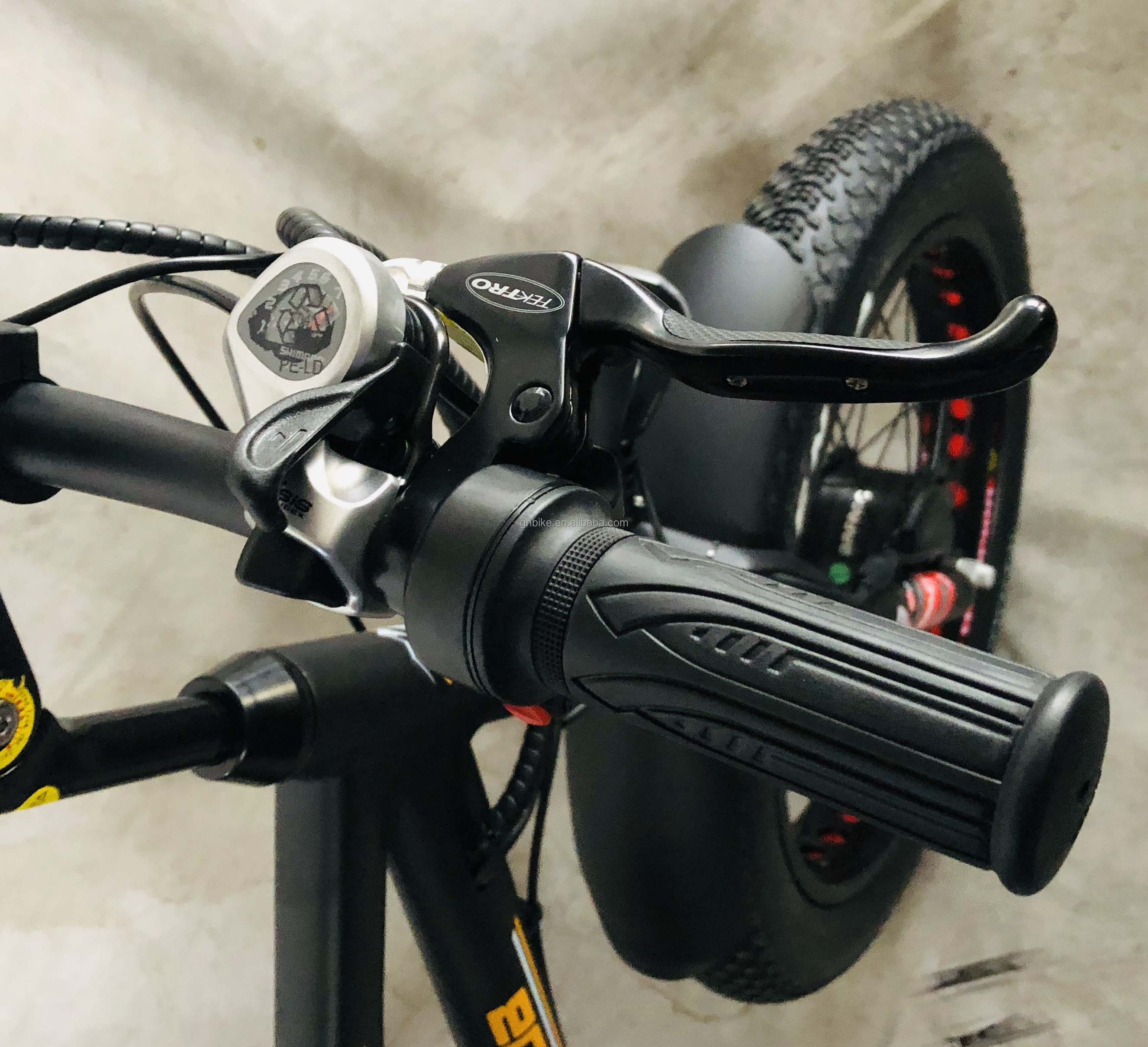 24-Inch Snow Fat Tire 4.0 Electric Rickshaw Tricycle with 48V 750W Motor and Rear Seat