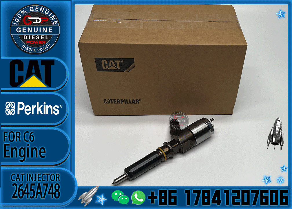 Common rail injector fuel injecto 10R-7675 2645A748 2645A743 320-0670 for C4.2 C6.4 Excavator C4.2 C6.4 320D