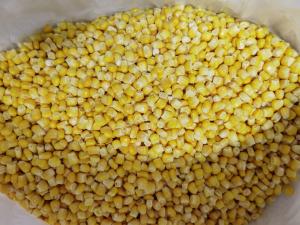 Quality Iqf 24 Months Frozen Sweet Corn Kernels for sale