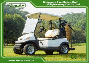 Quality Italy Graziano Axle 2 Passenger Golf Cart , Electric Golf Car for sale