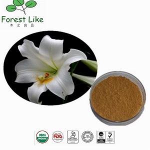 Quality Pure Natural Lily Extract Powder 10:1 for sale
