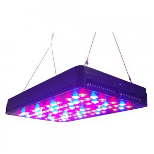 China Plants science project used full spectrum CIDLY led grow lights 5W chip led for plants on sale