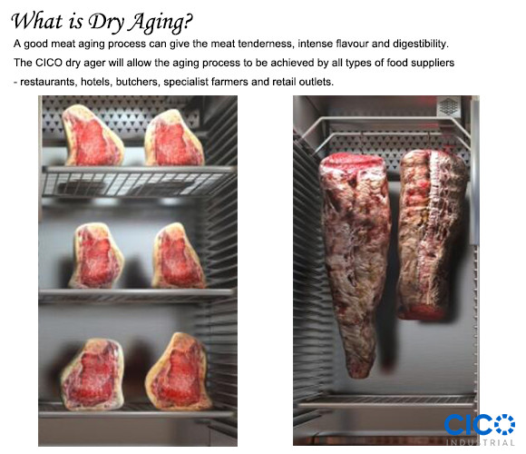Compressor Fan Cooling Meat Dry Aging Refrigerator Steak Fridge DA-280A For Home / Hotels