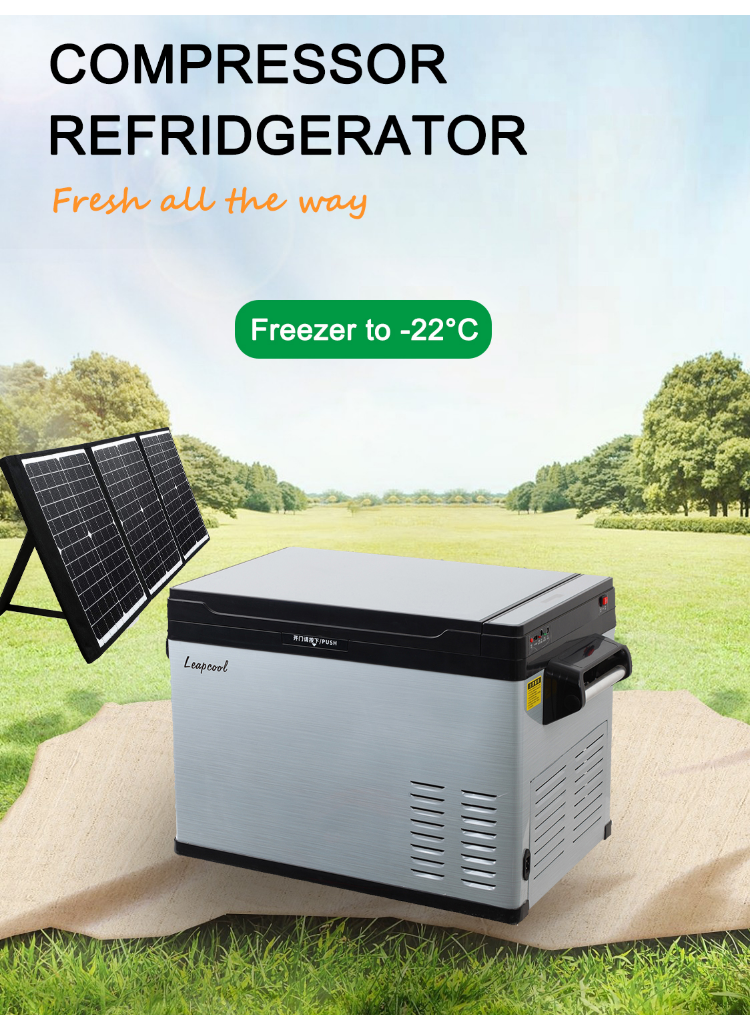AC DC OEM Compressor Cooling Dual Portable Cosmetic Fridge Insulation C5H10/C-pentane