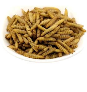 Quality Crispy Dried Black Soldier Fly Low Fat Nutritional Value for sale