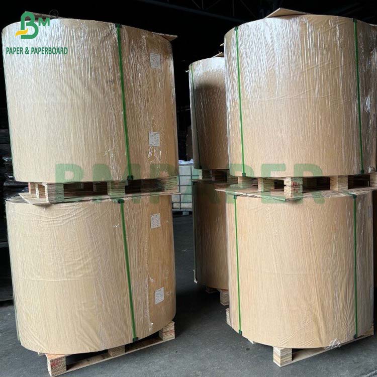 Biodegradable 100gsm - 400gsm Natural Sugarcane Bagasse Pulp Base Paper Roll