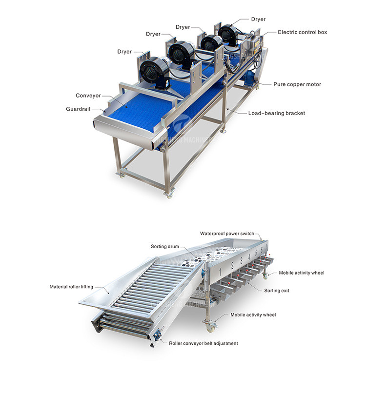 Circulating Hole Fruit Processing Line , Tengsheng Roller Conveying Vegetable Processing Line