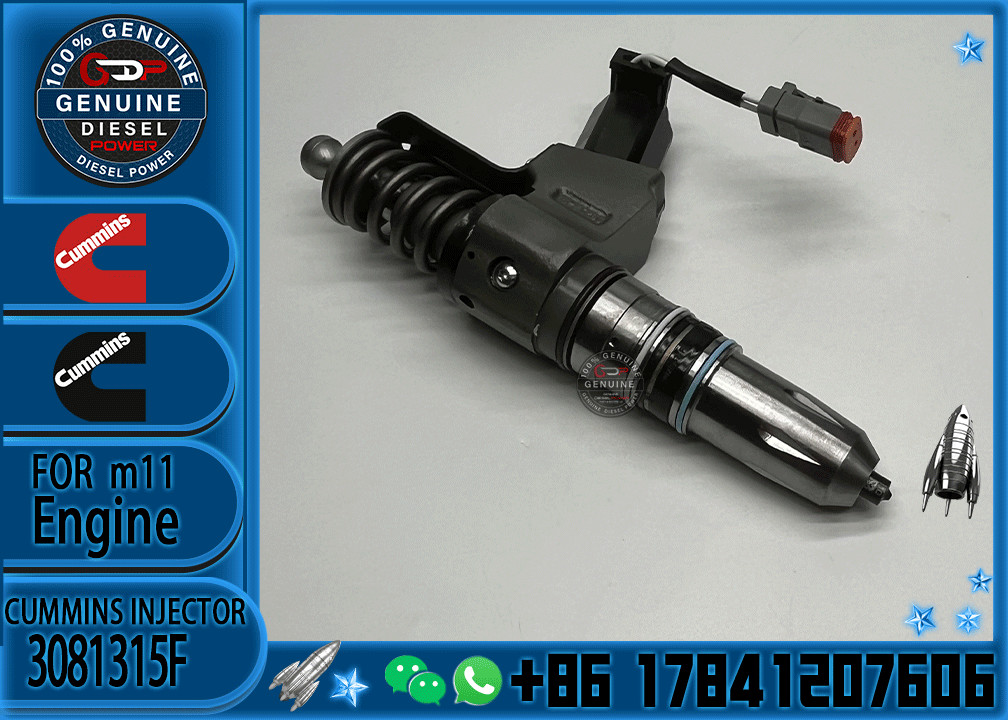 Auto Parts Common Rail Diesel Fuel Injector 3411760 3081315F 3409975 For Cummins QSN14 N14