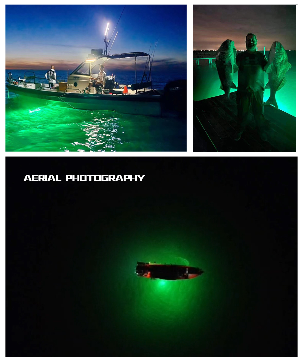 200W 1000W Submersible Fishing Light Outdoor Working Light AC220V