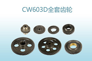 Custom CW2 40Cr Diesel Engine Timing Gears Set 50cm Dia Multi Cylinder Machine