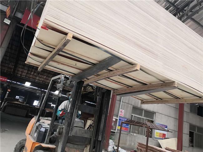 Eucalyptus FSC 1220*2440mm Bintangor Plywood For Furniture