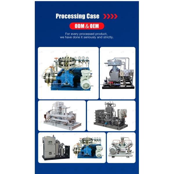 Diaphragm Compressor Gas Air Hydrogen High Purity Hydrogen H2 Helium Compressor Powerful Oil Free Diaphragm Compressor