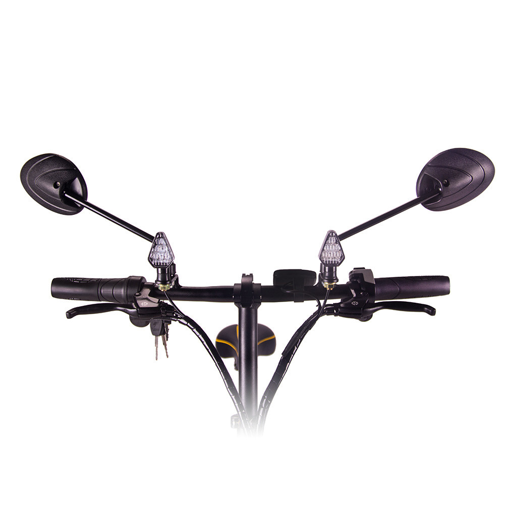 250w 36v 14inch Modern Electric City Foldable Bike Rich Bit Top 619