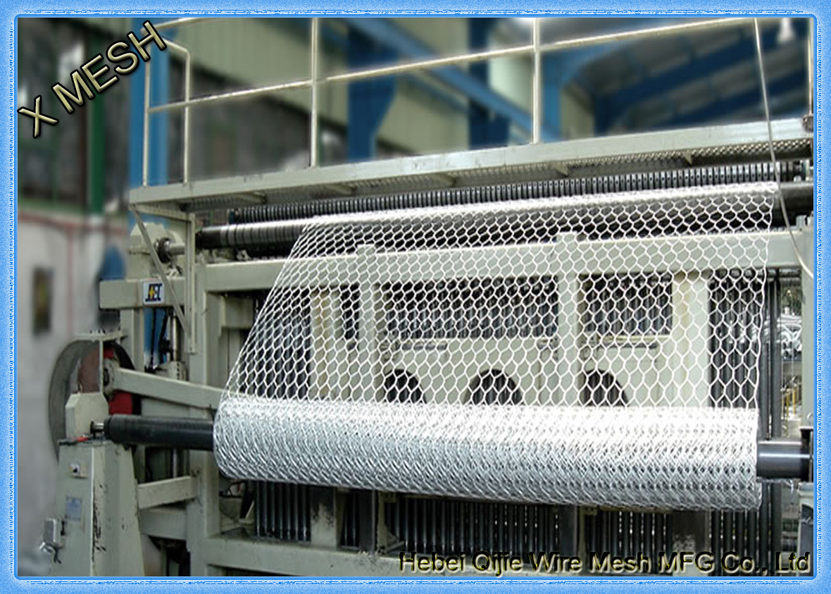 galvanized hexagonal wire mesh-G0006