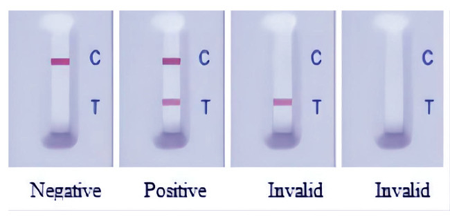 Porcine Circovirus (PCV2) Swine Influenza Test Kit Antibody Rapid 50 Tests/Kit GMP