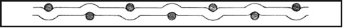 Stability consistency and smooth crimped wire mesh(Trade Assurance)