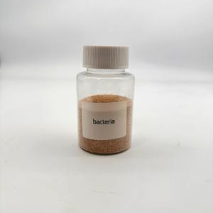 Quality Concentrated Brown Powder Bio Bacteria For Industrial Wastewater Treatment for sale