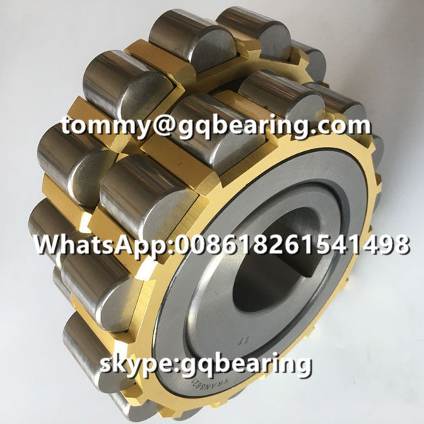 TRANS621 Eccentric Bearing TRANS 621 Brass Cage Cylindrical Roller Bearing for Reducer