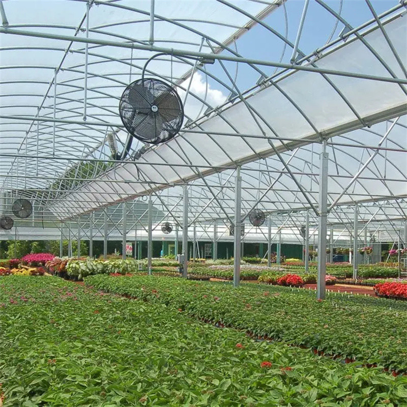 Rolling Bench Vegetable High Tunnel Greenhouse Steel Frame Hydroponics Large Span Greenhouse
