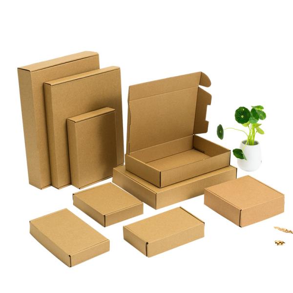 Aircraft Printed Cardboard Boxes Express Anti Pressure Personalised Packaging