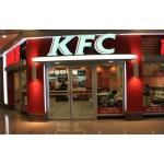 Insulated 30 Inch automatic swing Doors KFC door