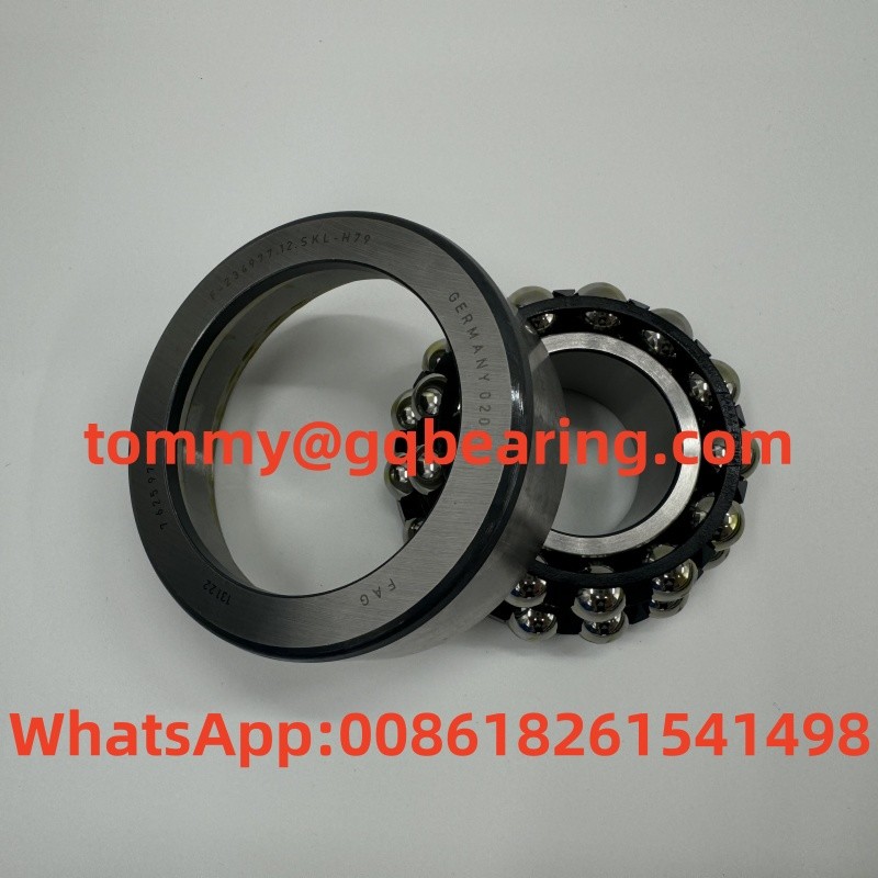 Gcr15 BMW 5 6 7 Series Automotive Nylon Cage Self Aligning Ball Bearing FAG F-234977 F-234977.12.SKL-H79