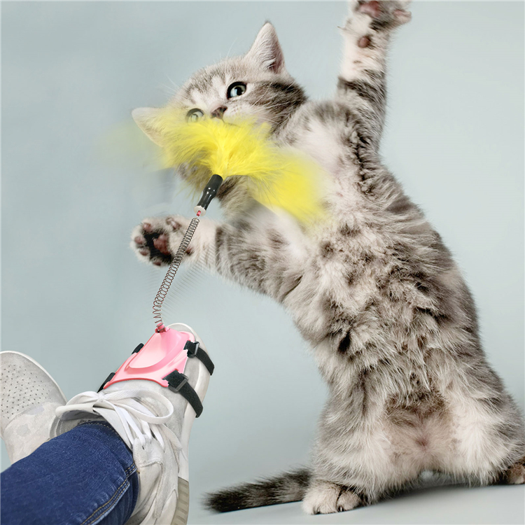 Factory Direct High-quality Pet Toys Tpr Material Sucker Catnip Pet Cat Toy