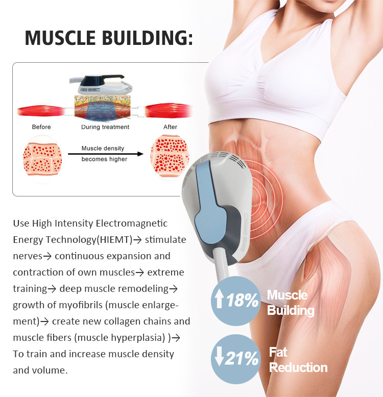 Non Surgical Butt Lift Machine AC110V-220V Body Fat Freezing Machine