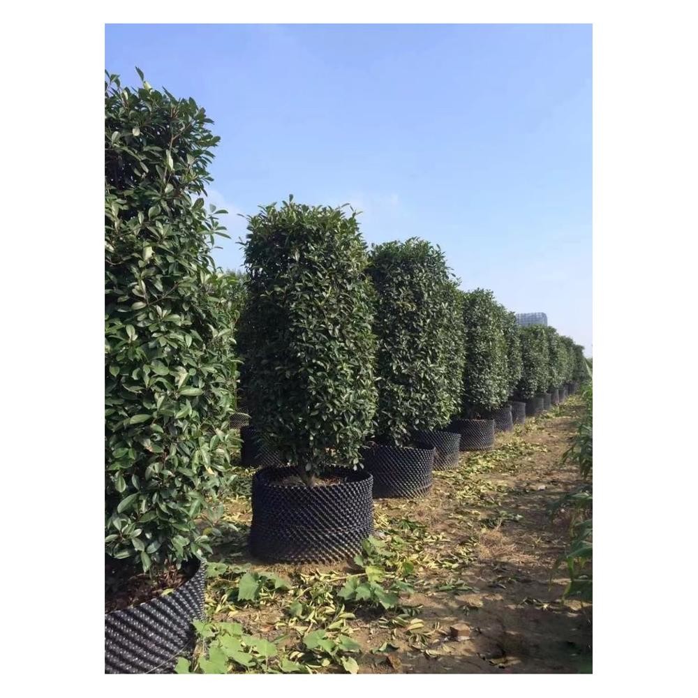 Wholesale plastic soft flower pot