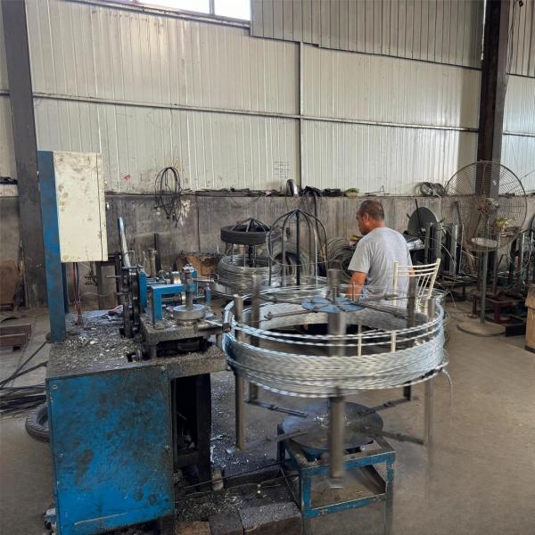 Galvanized Blade Wire Razor Barbed Wire Mesh Hardware Supplies
