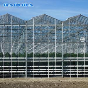 Quality Plants Air Conditioner Large Glass Greenhouse Customized Outdoor Auto Control for sale