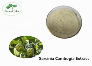 Quality Food Grade Garcinia Cambogia Extract 60% Hydroxy Citric Acid Pure Plant Extract for sale