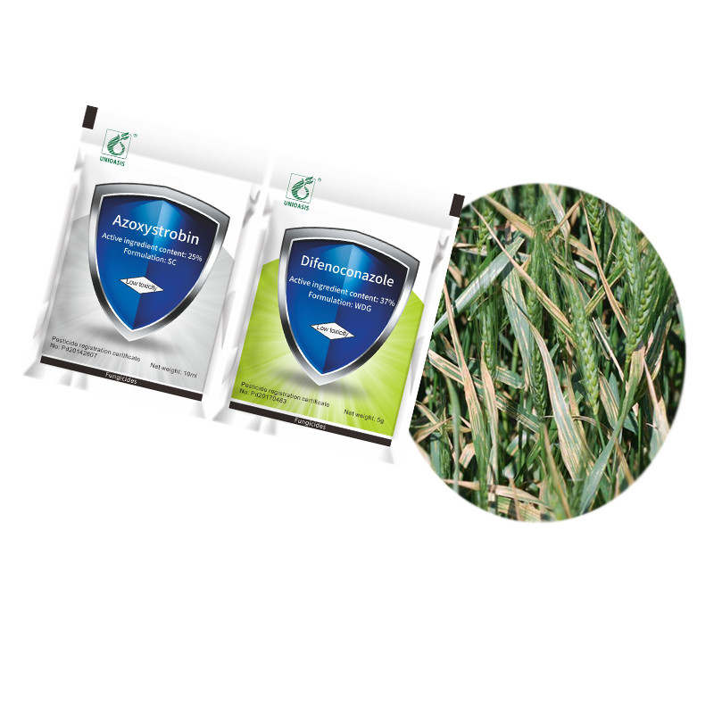 Fungal Disease Treatment Control Rice Blast 37% Difenoconazole 25% Azoxystrobin Fungicide