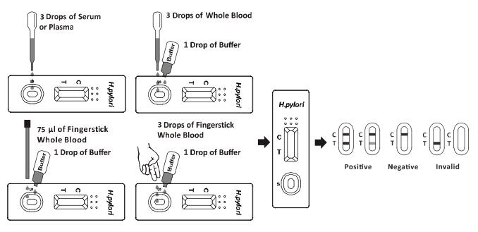 H. pylori Antibody Rapid Test， chromatographic immunoassay，whole blood, serum, or plasma